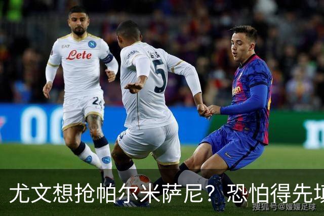 尤文想抢帕尔米萨尼？恐怕得先填点钱袋子了！